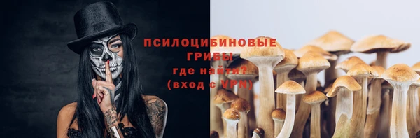 метадон Алексеевка