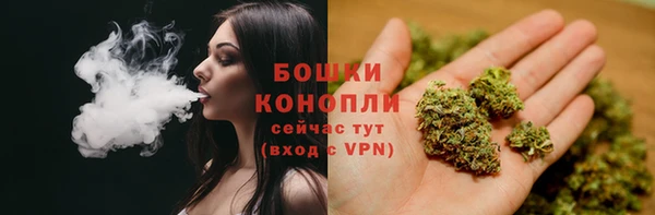бошки Алексин