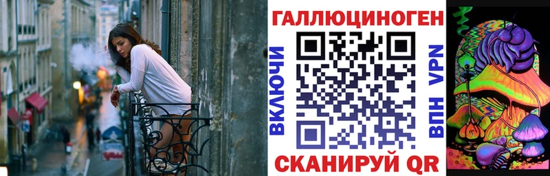 shop как зайти  Киселёвск  Галлюциногенные грибы Psilocybe 