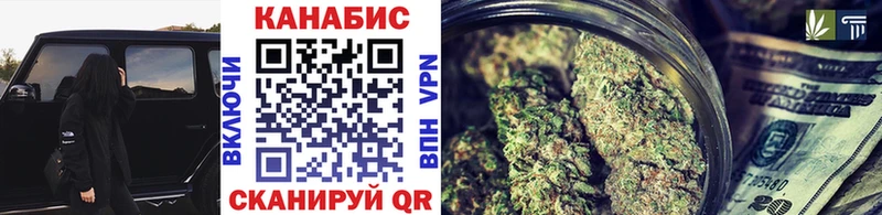 kraken маркетплейс  Киселёвск  Бошки марихуана THC 21%  где продают наркотики 